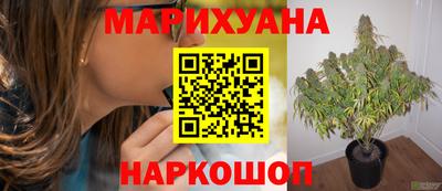 бошки Кинель