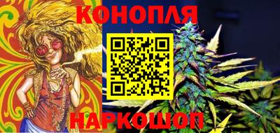 мет Кингисепп