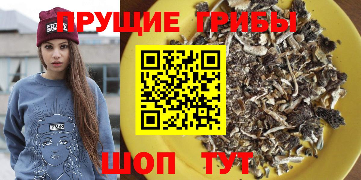 Галлюциногенные грибы мухоморы  Галлюциногенные грибы Cubensis  Вход с VPN  Благовещенск 